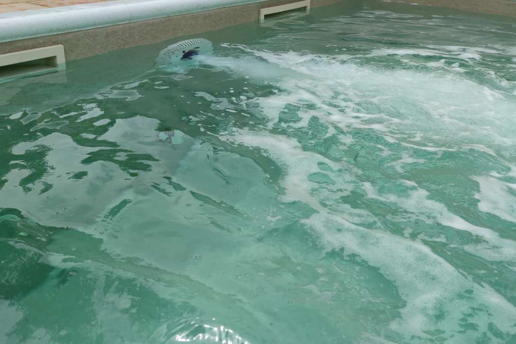 Turbo jet protivstrujno plivanje u mestu bady jet LV POOLS